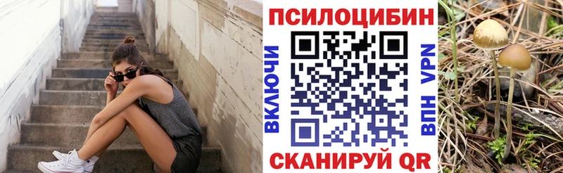 Псилоцибиновые грибы Psilocybe  где можно купить   сайты даркнета наркотические препараты  Ревда 